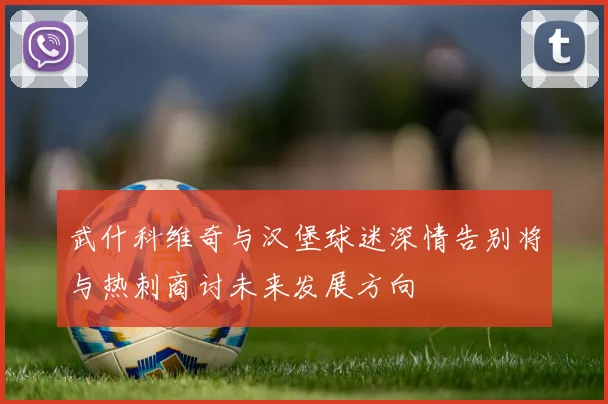武什科维奇与汉堡球迷深情告别将与热刺商讨未来发展方向